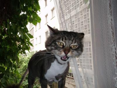 Прикрепленное изображение: DSCF0140.JPG